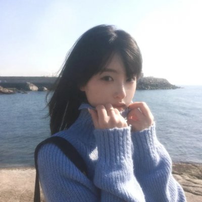 燕子盗海报