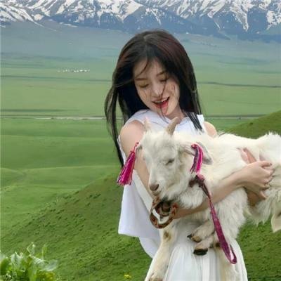 枪不打四海报