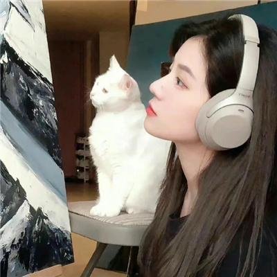 拳精海报